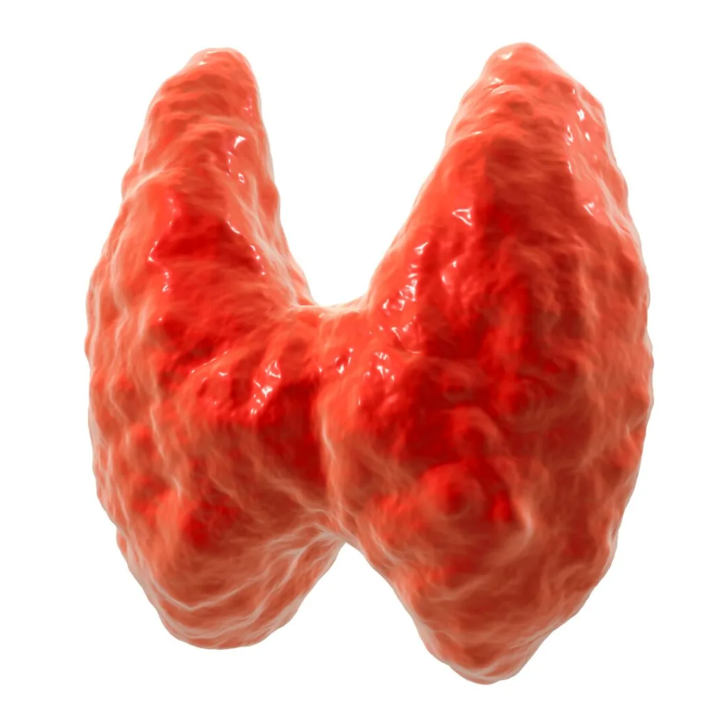 Cum știi că tiroida nu funcționează normal